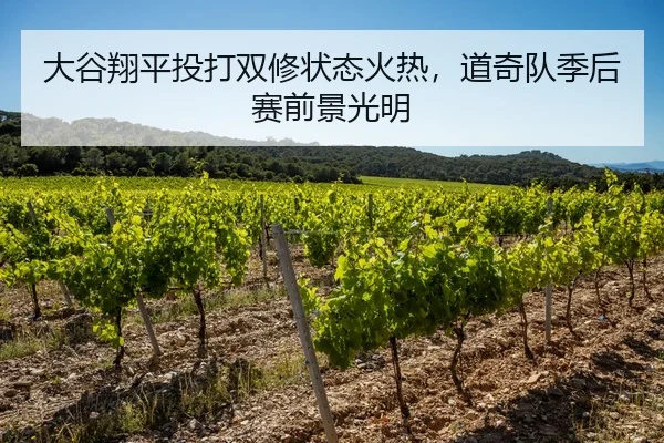 大谷翔平投打双修状态火热，道奇队季后赛前景光明