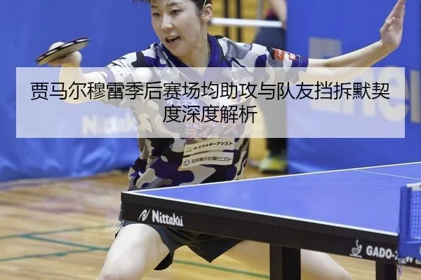 贾马尔穆雷季后赛场均助攻与队友挡拆默契度深度解析