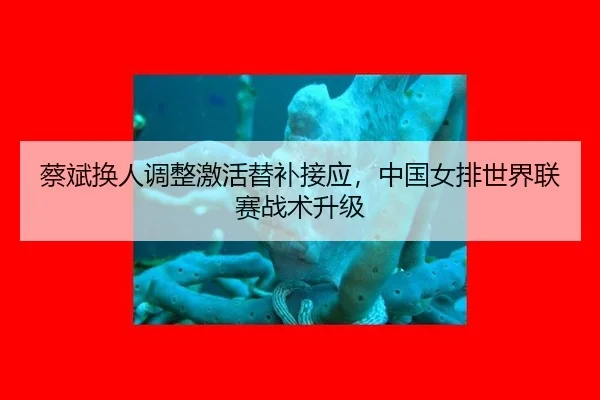 蔡斌换人调整激活替补接应，中国女排世界联赛战术升级