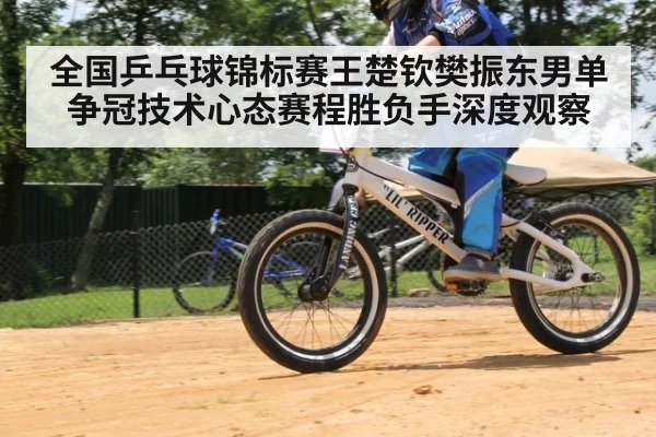 全国乒乓球锦标赛王楚钦樊振东男单争冠技术心态赛程胜负手深度观察