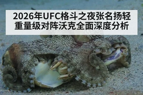 2026年UFC格斗之夜张名扬轻重量级对阵沃克全面深度分析